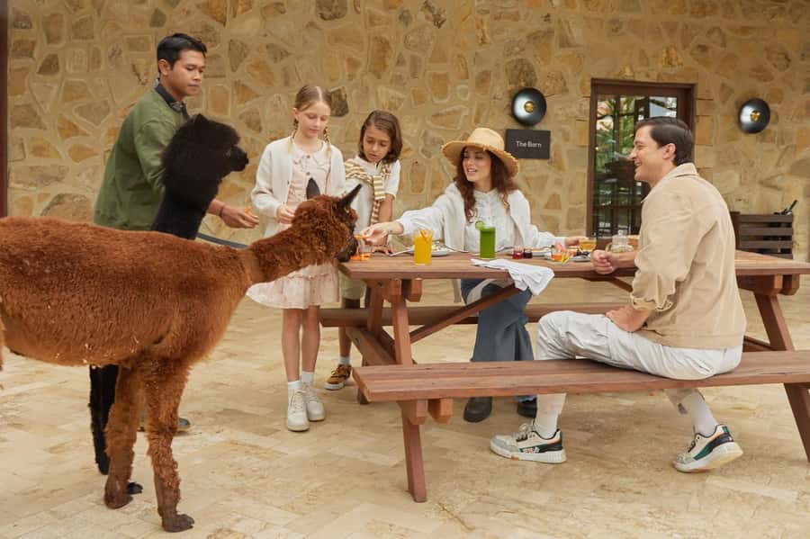 Bali: Farm House Experience with Entry Ticket & Options - Key points to know before you book
