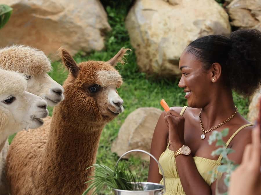Bali: Farm House Experience with Entry Ticket & Options - Why the farm feels different from a regular Bali outing