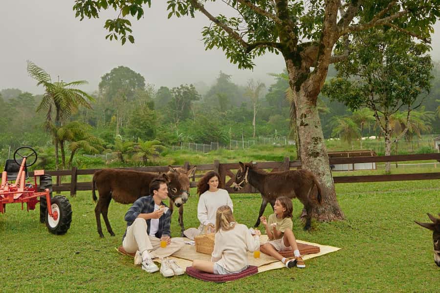 Bali: Farm House Experience with Entry Ticket & Options - Choosing between the five experience options