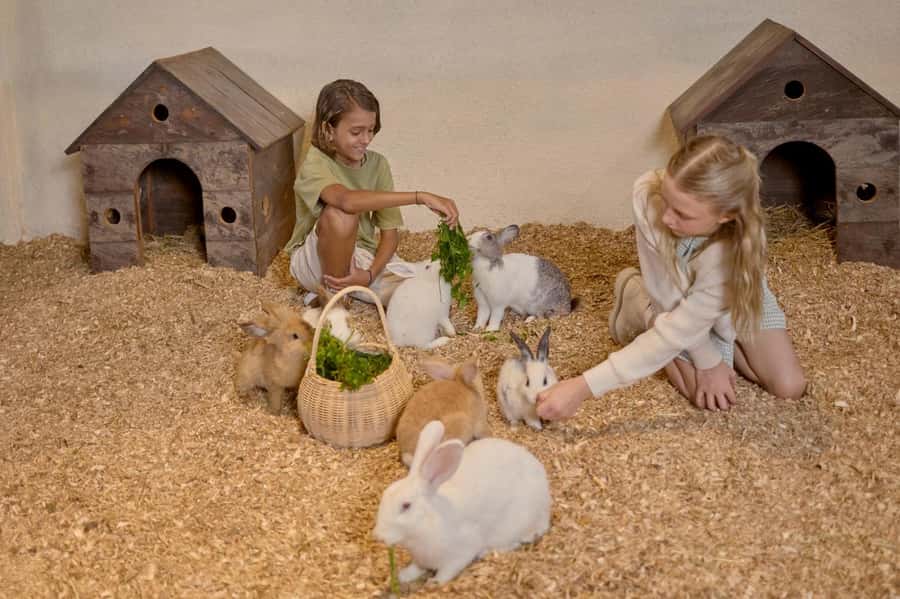 Bali: Farm House Experience with Entry Ticket & Options - The playground makes the farm family-friendly