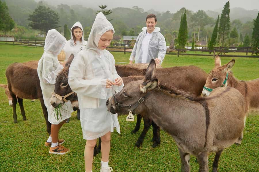 Bali: Farm House Experience with Entry Ticket & Options - Entering the gardens and meeting the animals
