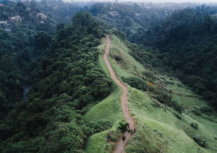 Bali: Full-Day Eat Pray Love Tour with Rice Terraces & Yoga - FAQ