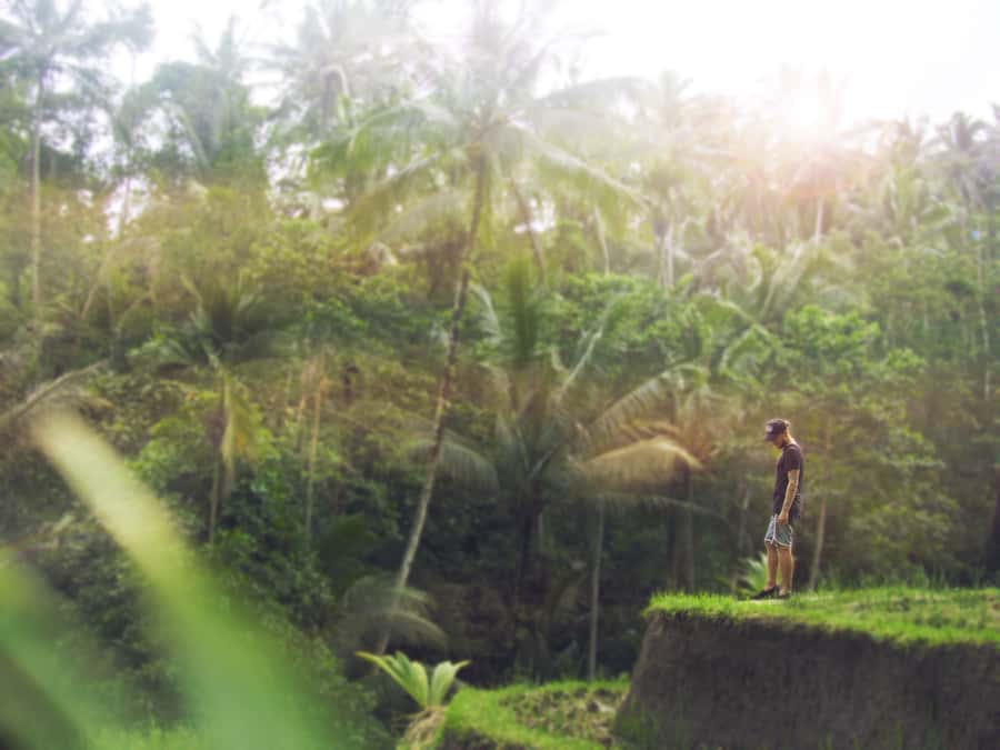 Bali: Full-Day Eat Pray Love Tour with Rice Terraces & Yoga - What the guides add to the day