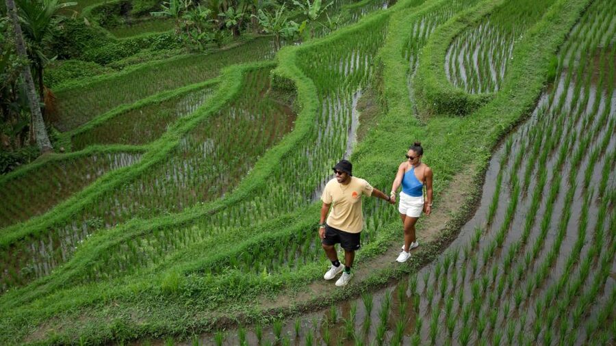 Bali: Heaven Swing, Beratan temple, Rice Terrace - Heaven Swing: start with Bali’s famous photo rush