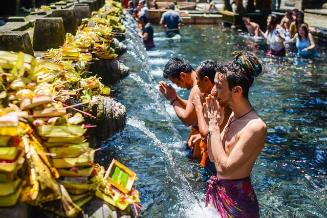 Bali Highlights Private Tour with Elephant Cave and Rice Field - Tirta Empul shows Bali’s living spiritual tradition