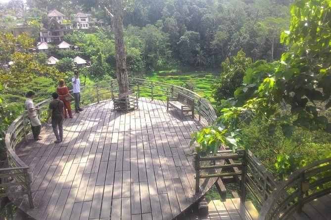 Bali Hindu temple, Rice terrace, Waterfall -All Inclusive - Indonesian lunch above the river or rice fields