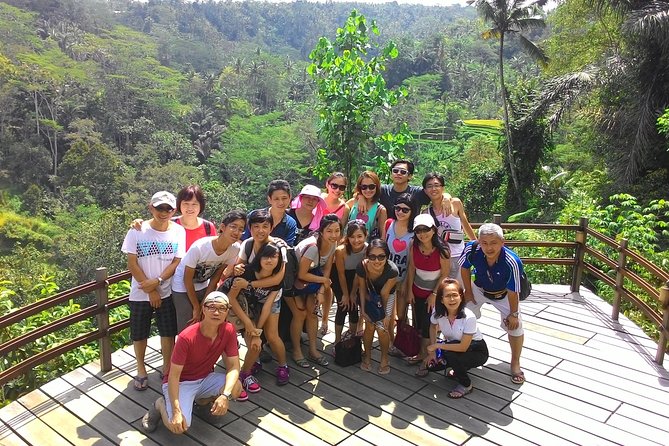 Bali Hindu temple, Rice terrace, Waterfall -All Inclusive - Tegenungan Waterfall and the chance to get wet
