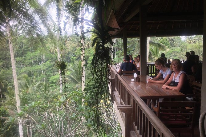 Bali Hindu temple, Rice terrace, Waterfall -All Inclusive - Tegalalang Rice Terrace, with time for views