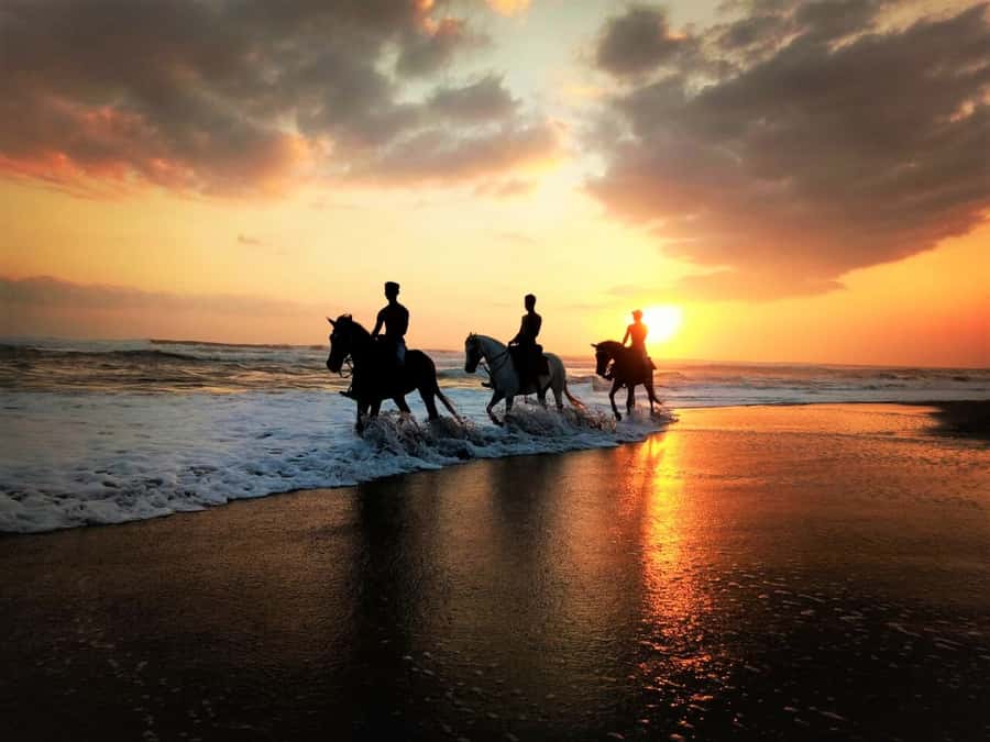 Bali: Horse Riding on Pigstone Beach and in the Rice Fields - Key points to know before booking