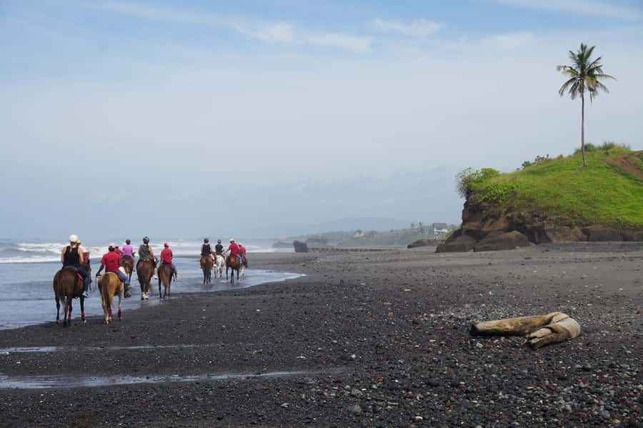 Bali: Horse Riding on Pigstone Beach and in the Rice Fields - Should you book the Pig Stone Beach ride?