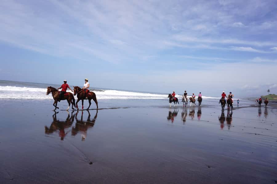 Bali: Horse Riding on Pigstone Beach and in the Rice Fields - From Kuda P Stables to Bali’s rice fields