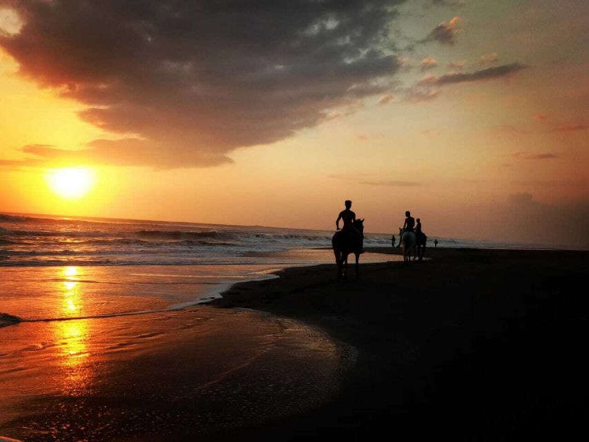 Bali: Horse Riding on Pigstone Beach and in the Rice Fields - Guides, horses, and the level of supervision