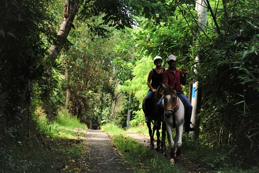 Bali: Horse Riding on Pigstone Beach and in the Rice Fields - Photos, videos, drinks, and snacks