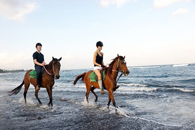 Bali Horse Riding, Waterfall, Rice Terrace, Lunch - All Inclusive - Saba Bay starts the day with Bali’s most memorable hour