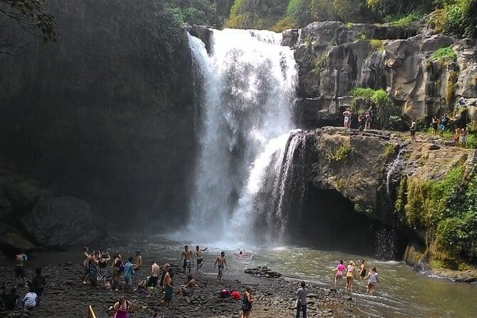 Bali Horse Riding, Waterfall, Rice Terrace, Lunch - All Inclusive - Uma Pakel introduces Bali’s coffee and tropical crops