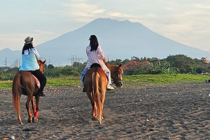 Bali Horse Riding, Waterfall, Rice Terrace, Lunch - All Inclusive - Tegenungan Waterfall adds a short, active stop