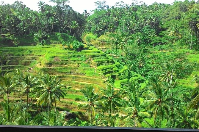 Bali in 1-Day : Rice Terrace, Volcano, Tanah lot - All Inclusive - What this one-day Bali route is trying to do