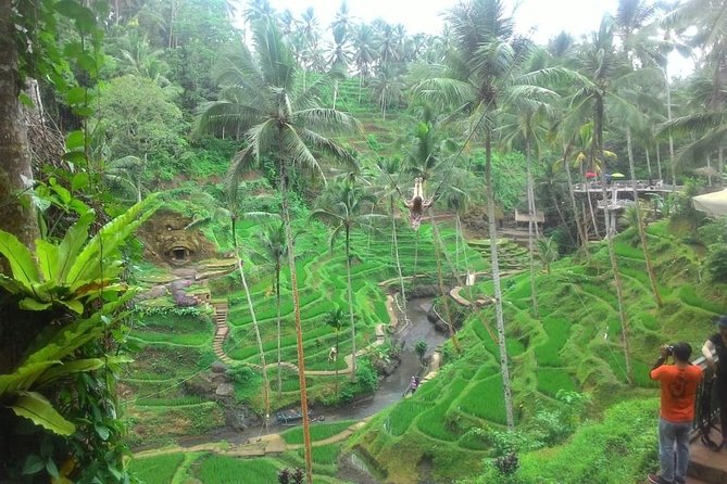 Bali in 1-Day : Rice Terrace, Volcano, Tanah lot - All Inclusive - Choosing a craft village without pressure