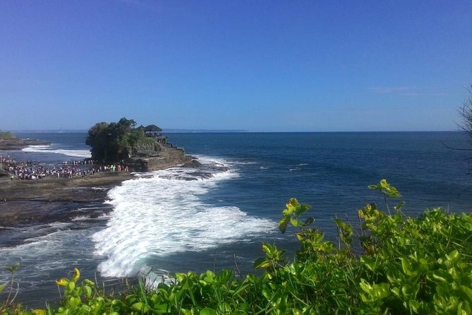 Bali in 1-Day : Rice Terrace, Volcano, Tanah lot - All Inclusive - Tegalalang Rice Terrace: beauty with a busy schedule