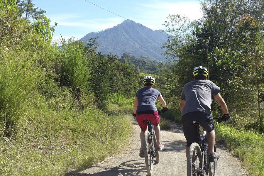 Bali: Jatiluwih Rice Terraces 1 Hour Electric Bike Tour - Should you book the Jatiluwih e-bike ride?