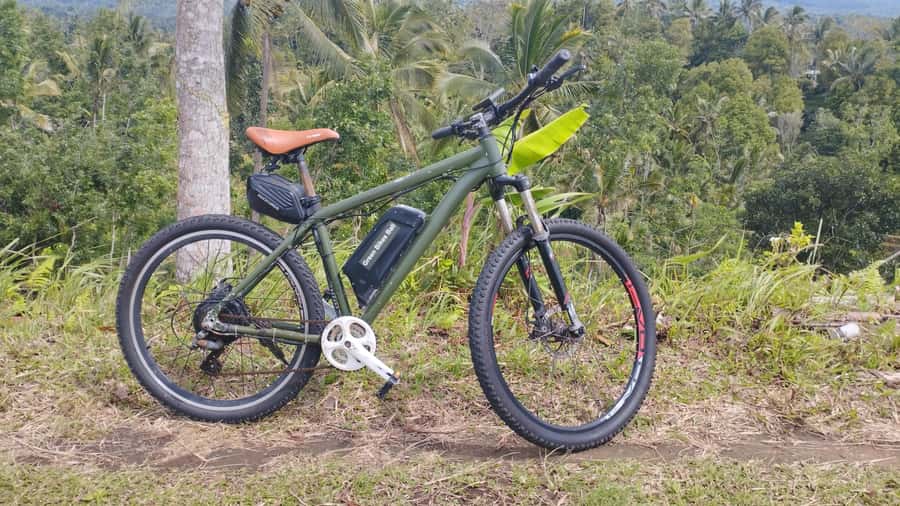 Bali: Jatiluwih Rice Terraces 1 Hour Electric Bike Tour - Why the e-bike matters on this route
