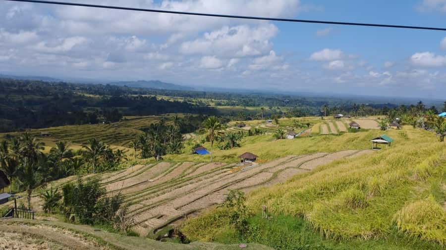 Bali: Jatiluwih Rice Terraces 1 Hour Electric Bike Tour - Bamboo, villages, and the farming valley