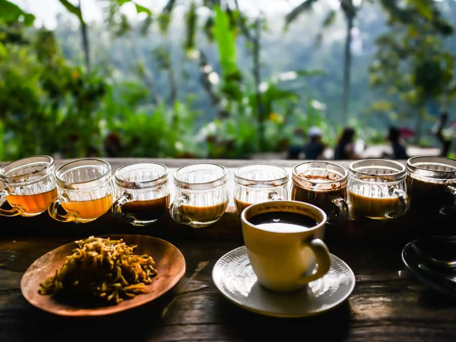 Bali: Jatiluwih Rice Terraces, Sangeh Forest & Coffee Tour - Sangeh Forest and its temple monkeys
