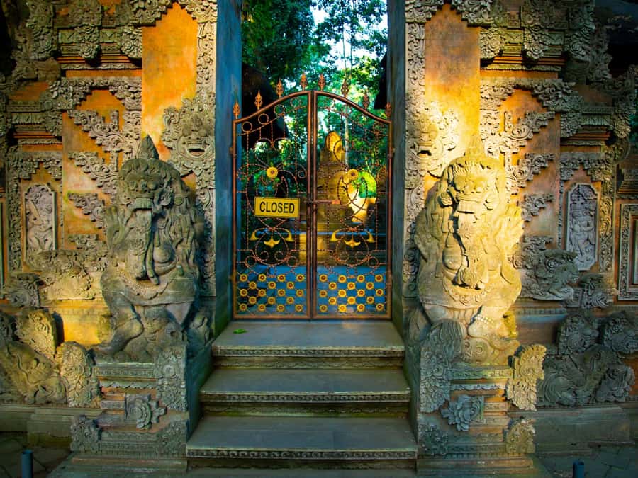 Bali: Jatiluwih Rice Terraces, Sangeh Forest & Coffee Tour - The drive from southern Bali to the green interior