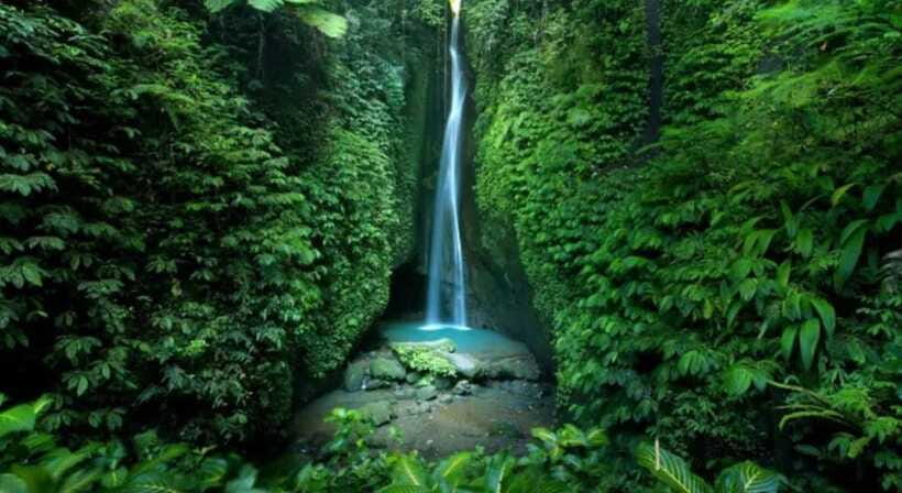 Bali: Jatiluwih Rice Terraces, Water Temple, Waterfall Tour - Pickup, comfort, and the long day