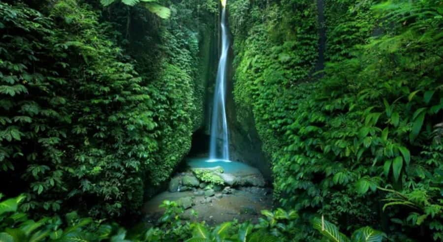 Bali: Jatiluwih Rice Terraces, Water Temple, Waterfall Tour - Jatiluwih Rice Terraces: the scenic centerpiece