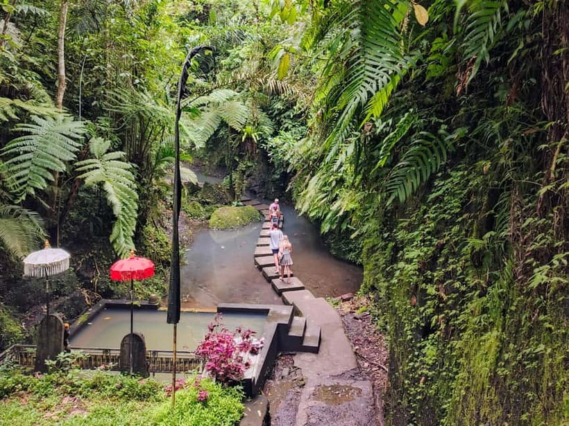 Bali: Kintamani, Tegalalang and Coffee Plantation Tour - Who will enjoy this private Bali tour