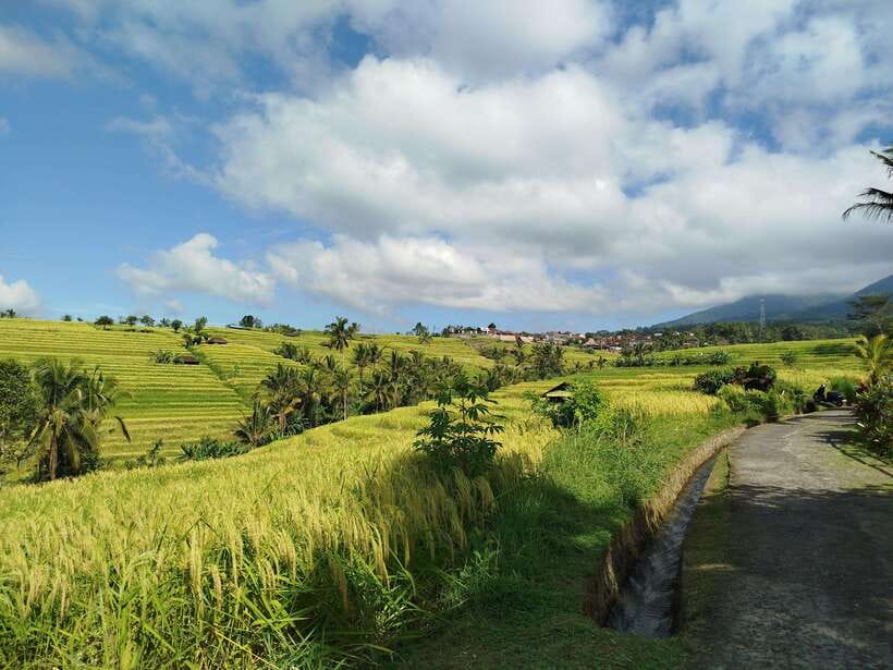 Bali: Lake Temple, Jatiluwih Rice Terrace & Waterfall Tour - What the $32 price really covers