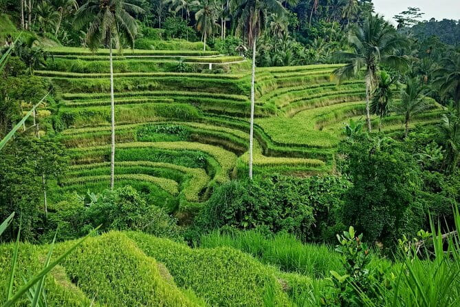 Bali Lempuyang Temple, Waterfall with Rice Terrace Tour - Why this route works so well in one day