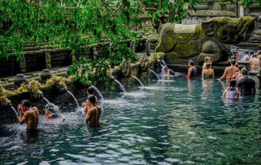Bali: monkey forest, rice terrace, water temple, waterfall - Who should book this experience