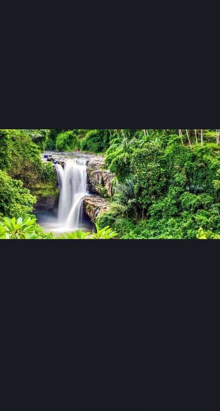 Bali: monkey forest, rice terrace, water temple, waterfall - Balinese coffee and tea in a traditional setting