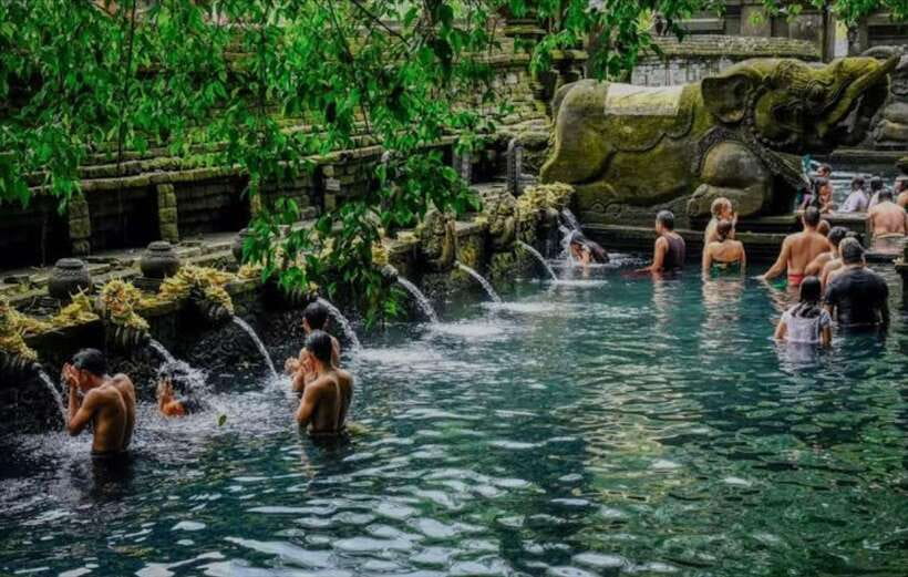 Bali: monkey forest, rice terrace, water temple, waterfall - Guides, private groups, and the value of personal attention