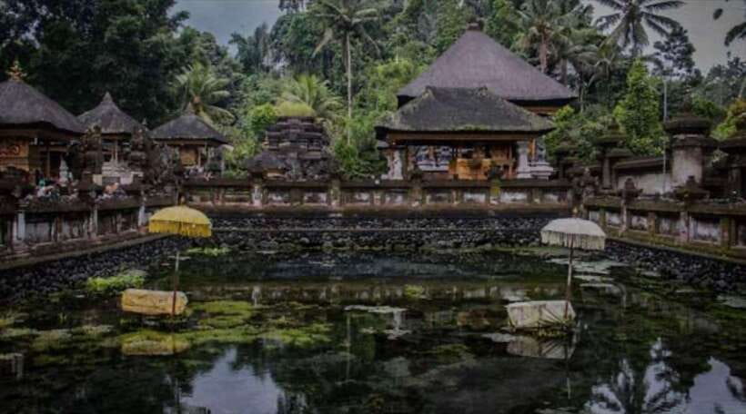 Bali: monkey forest, rice terrace, water temple, waterfall - What the $25 price really includes
