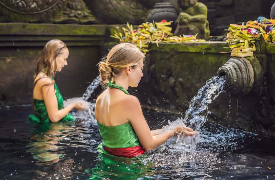 Bali: Penglipuran Village, Rice Terrace & Waterfall Tour - The value of the $15 starting price