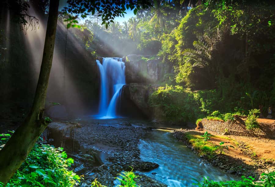 Bali: Penglipuran Village, Rice Terrace & Waterfall Tour - Choosing the right route from four options