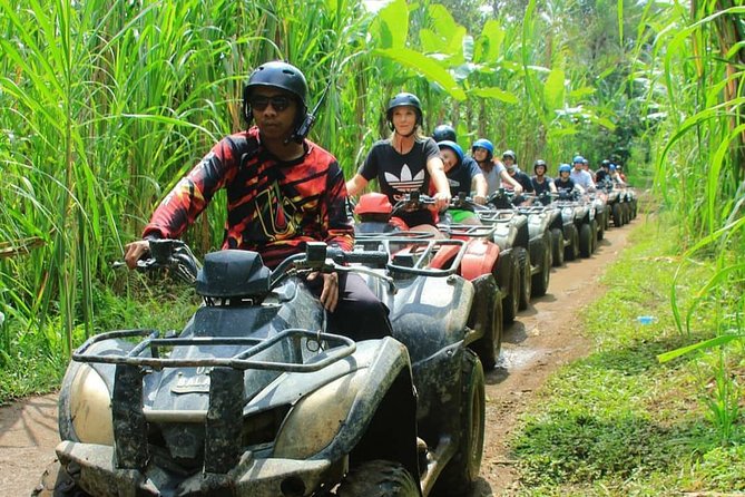 Bali Quad bike ATV passing through Waterfall, Cave & Rice fields - Why This ATV Ride Works for an Ubud Day Out