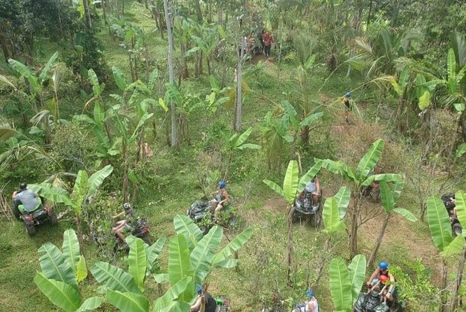 Bali Quad bike ATV passing through Waterfall, Cave & Rice fields - Is $37.90 Good Value?