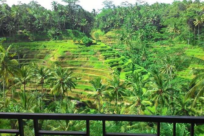 Bali Rafting + Rice Terrace + 1,5Hrs Balinese Massage + Lunch - Tegallalang rice terraces and the subak system