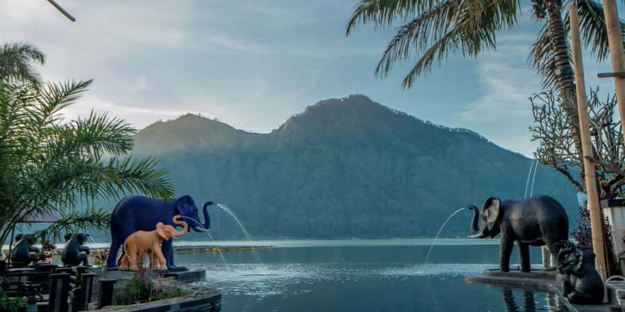 Bali: Rice Terrace & Volcano Tour with Penglipuran Village - Key points to know before booking
