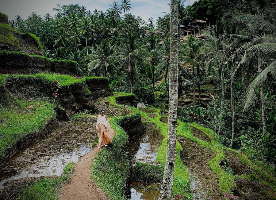 Bali: Rice Terrace & Volcano Tour with Penglipuran Village - Mount Batur, Lake Batur, and the coffee stop