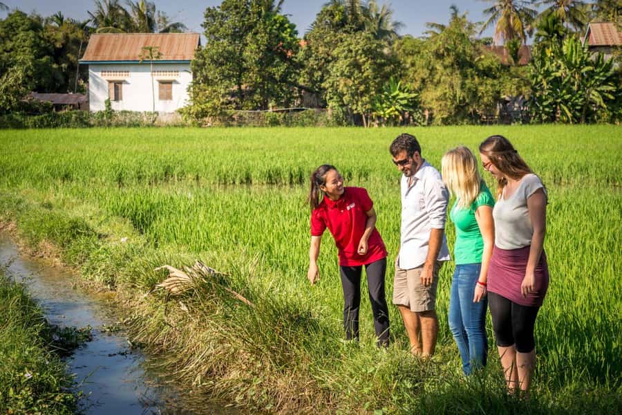 Bali: Rice Terraces Guided Hiking Experience - Key points to know before booking