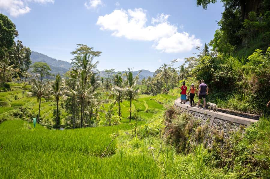 Bali: Rice Terraces Guided Hiking Experience - Coconut water, coffee, and a simple finish