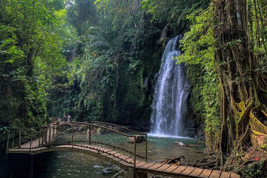 BALI :Sanctuary Monkey forest, rice terrace Water temple - A Full Day Linking Ubud’s Big Sights