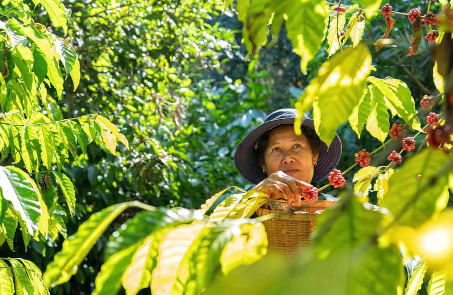 BALI :Sanctuary Monkey forest, rice terrace Water temple - Practical Packing for the Route