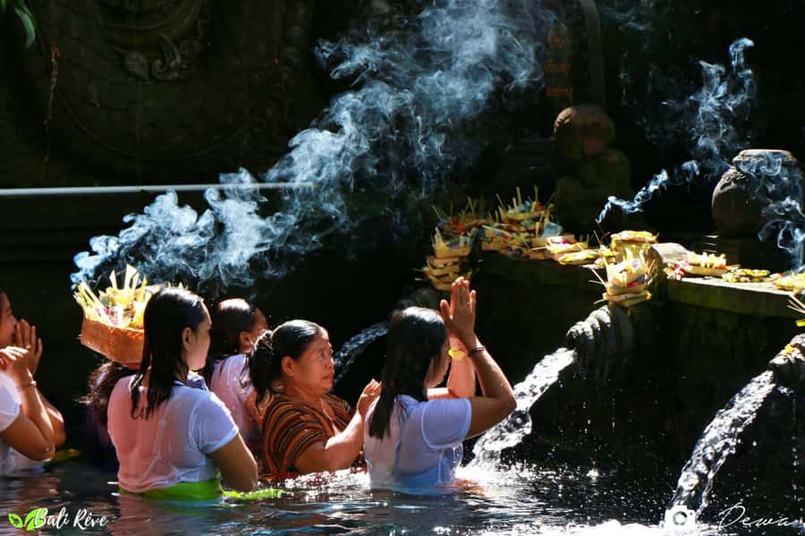 BALI :Sanctuary Monkey forest, rice terrace Water temple - Coffee Tasting From Bean to Cup