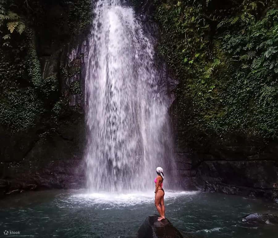 BALI :Sanctuary Monkey forest, rice terrace Water temple - Who Will Enjoy This Ubud Day